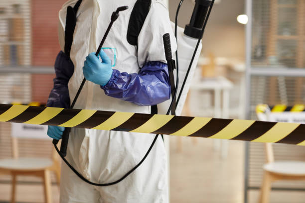 Professional Hoarding Cleanup technician working in Hingham, MA